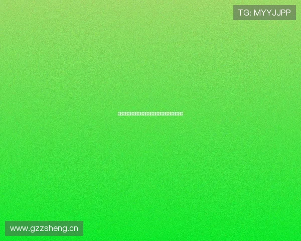 深圳新鹏城推出免费接驳车方便球迷前往肇庆观赛体验升级